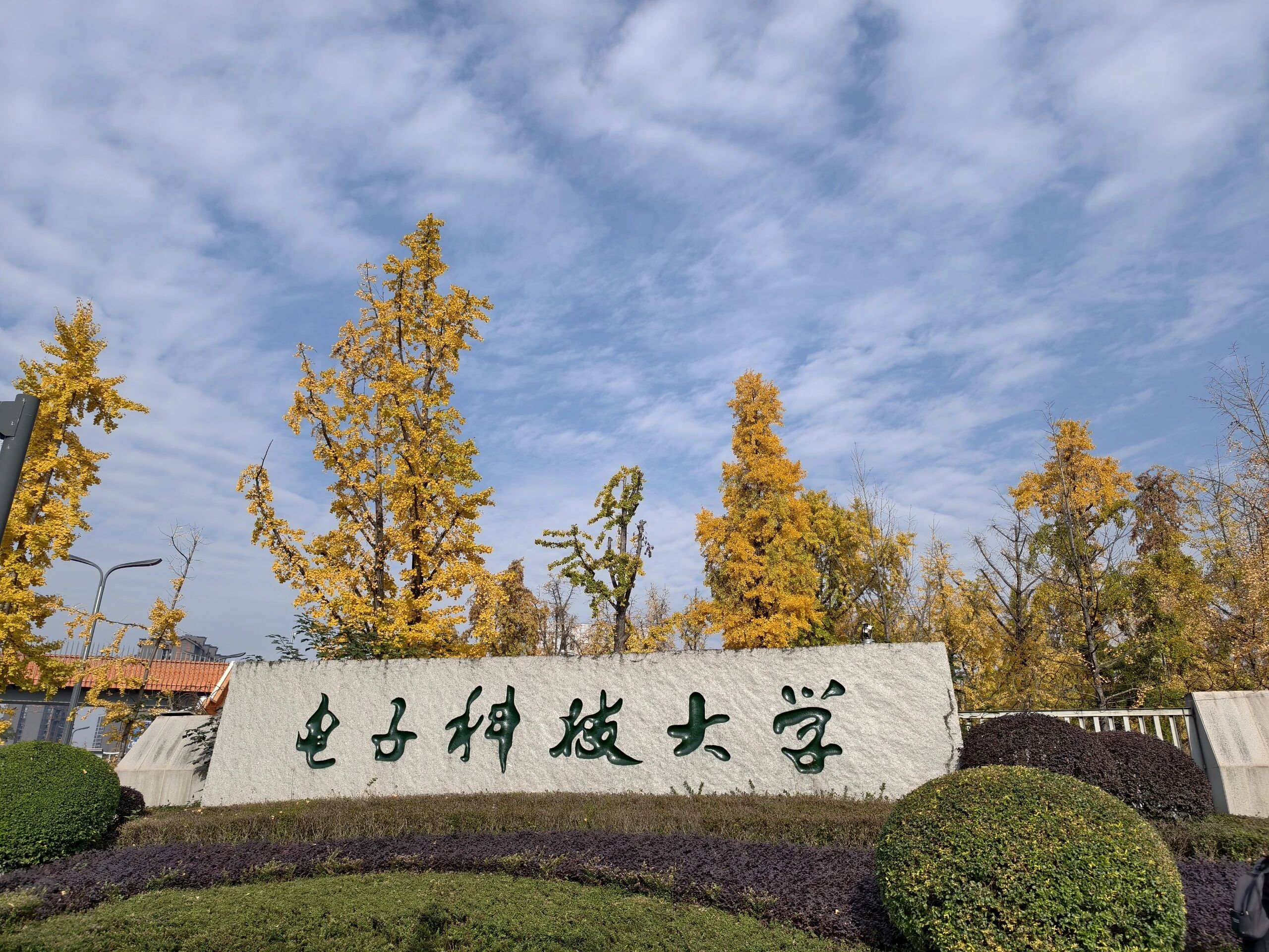 电子科技大学
